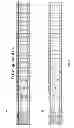 Fig. 07 - Rapid salmonella serotyping assay