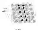 Fig. 06 - FETAL ANEUPLOIDY DETECTION BY SEQUENCING