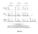 Fig. 10 - FETAL ANEUPLOIDY DETECTION BY SEQUENCING