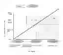 Fig. 20 - FETAL ANEUPLOIDY DETECTION BY SEQUENCING