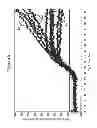 Fig. 09 - Late-PCR