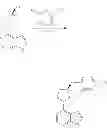 Fig. 131 - Pyrrolopyrimidine compounds and uses thereof