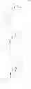Fig. 41 - Cortistatin A analog and use thereof
