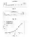 Fig. 06 - Sustained release intraocular implants containing tyrosine kinase inhibitors and related methods