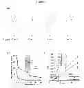 Fig. 02 - LIPASE INHIBITORS