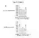 Fig. 06 - Method of Treatment