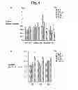 Fig. 07 - Method of Treatment