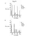 Fig. 08 - Method of Treatment