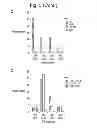 Fig. 09 - Method of Treatment