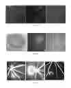 Fig. 02 - Application of highly conserved domain sequences from viral genome as template to design therapeutic sliRNAs
