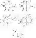 Fig. 79 - Synthesis of bicyclic compounds and method for their use as therapeutic agents