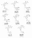 Fig. 04 - Coumarin-chalcones as anticancer agents