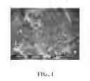 Fig. 02 - Poly (lactic acid) resin composition for preparing transparent and impact-resistant article, article prepared therefrom and preparation process thereof