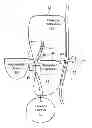Fig. 01 - Systems and methods for treating chronic liver failure based on peritoneal dialysis