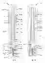 Fig. 07 - Medical injection device