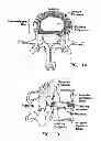 Fig. 02 - SELECTIVE DELIVERY OF CRYOGENIC ENERGY TO INTERVERTEBRAL DISC TISSUE AND RELATED METHODS OF INTRADISCAL HYPOTHERMIA THERAPY