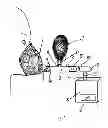 Fig. 02 - Device for Equalization of the Pressure in the Middle Ear