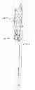 Fig. 01 - Endoprosthesis having aligned legs for ease of cannulation