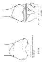 Fig. 37 - PATIENT-ADAPTED AND IMPROVED ARTICULAR IMPLANTS, DESIGNS AND RELATED GUIDE TOOLS