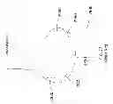 Fig. 40 - PATIENT-ADAPTED AND IMPROVED ARTICULAR IMPLANTS, DESIGNS AND RELATED GUIDE TOOLS