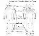 Fig. 01 - Space exploration with human proxy robots