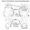 Fig. 07 - Space exploration with human proxy robots