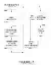 Fig. 04 - Method and Apparatus to Increase a Cash Line Limit