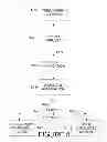 Fig. 06 - Method and Apparatus to Increase a Cash Line Limit