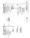 Fig. 14 - Media Gifting Devices and Methods
