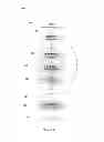 Fig. 07 - POSTPONED RENDERING OF SELECT WEB PAGE ELEMENTS