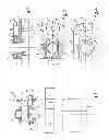 Fig. 02 - Device for fastening a nut to the surface of a body by means of an assembly plate