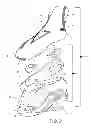 Fig. 03 - Article of footwear with detachable upper and lower designs