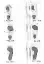Fig. 10 - Article of footwear with detachable upper and lower designs