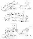 Fig. 11 - Article of footwear with detachable upper and lower designs