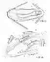 Fig. 13 - Article of footwear with detachable upper and lower designs