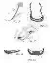 Fig. 14 - Article of footwear with detachable upper and lower designs