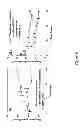 Fig. 09 - Control of biofouling in implantable biosensors