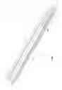Fig. 09 - Crossbow