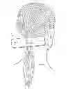 Fig. 01 - Pony tail wrap
