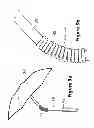 Fig. 04 - Umbrella engaged with a back pack