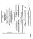 Fig. 131 - HIGH EFFICIENCY SOLAR CELL STRUCTURES AND MANUFACTURING METHODS