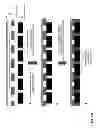 Fig. 85 - HIGH EFFICIENCY SOLAR CELL STRUCTURES AND MANUFACTURING METHODS