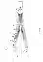 Fig. 02 - SELF-STARTING SUPERSONIC INLET