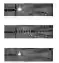 Fig. 01 - Acoustic waves in microfluidics