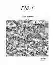 Fig. 02 - Grain oriented electrical steel sheet and method for manufacturing the same