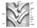 Fig. 01 - Agricultural bar nose to prevent stubble damage