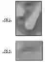Fig. 03 - Agricultural bar nose to prevent stubble damage