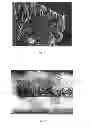 Fig. 06 - SOFT AND STRONG FIBROUS STRUCTURES AND METHODS FOR MAKING SAME