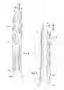 Fig. 05 - Heat exchanger having convoluted fin end and method of assembling the same