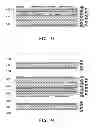 Fig. 08 - Circuit board, structural unit thereof and manufacturing method thereof